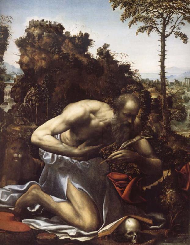 SODOMA, Il Saint Jerome in Penitence Spain oil painting art